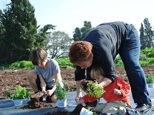 הקרקס החקלאי